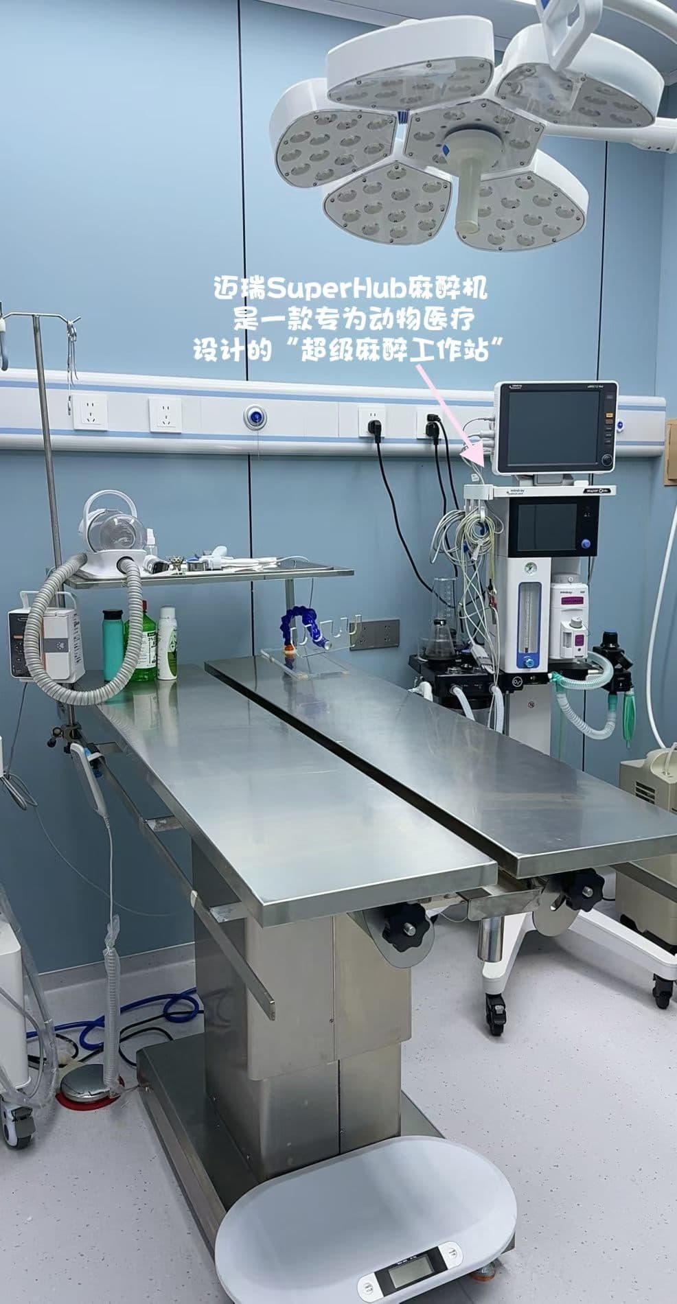 泉州市问心宠物医院手术室实拍